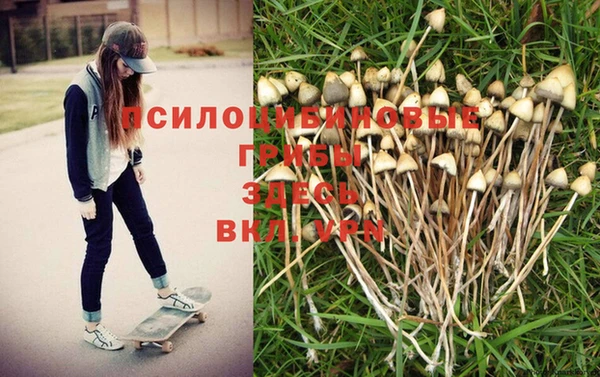 МДМА Няндома